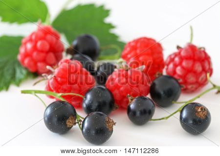 Black currant and raspberry with leaf isolated on white background.