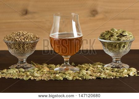 Goblet of beer with malts and hops