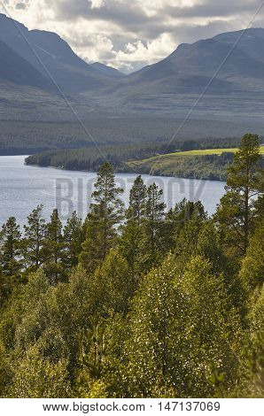Rondane National Park. Green forest and lake river landscape. Norway. Vertical