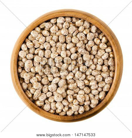 Sweet lupin beans in a wooden bowl on white background, also lupini beans, are the seeds of Lupinum. Edible vegetable, raw, organic and vegan food. Isolated macro photo close up from above.