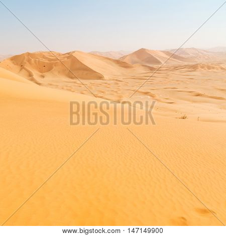 In Oman Old Desert