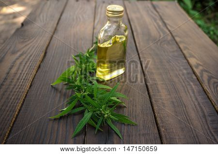 Leaves of cannabis and bottle of hemp oil on dark wooden surface. Hemp products. Agricultural technical culture