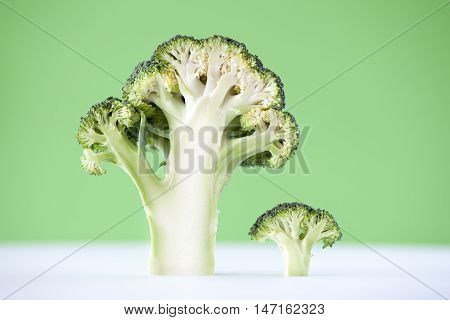 Cross section of broccoli on green bacground