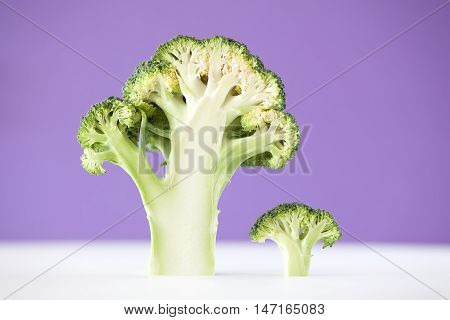 Cross section of broccoli on violet bacground