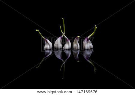 Group of five garlics on black reflective background