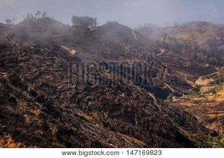 Mountains of Madeira after devastating fire in summer 2016. Lot of forests being UNESCO heritage were destroyed in that disaster probably started by pyromaniac.