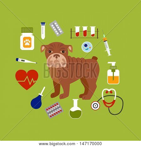 Vet cartoon concept. Vector veterinary dog illustration. Concept of flat veterinary clinic icons. Colorful veterinary medicine concept  for your design. Veterinary dog breed bulldog isolated.