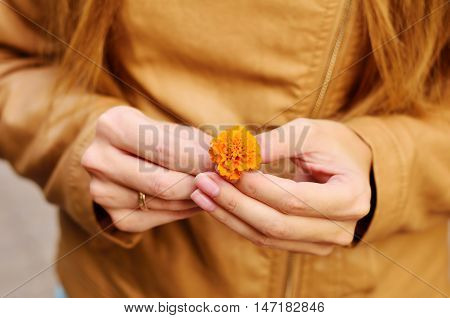 Small orange flower in the hands of the girl in a leather jacket