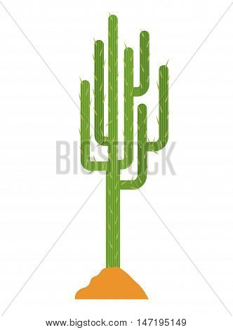 Cactus and earth icon. Plant deset and green theme. Isolated design. Vector illustration