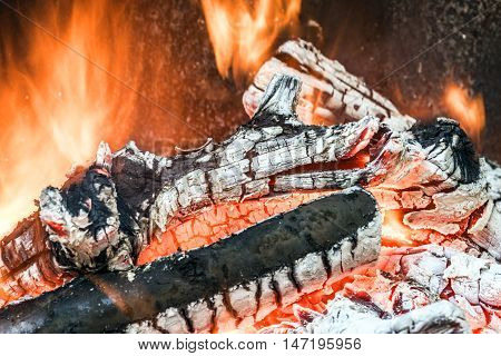 wood fire outdoor cooking on embers preparation