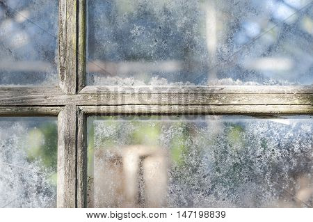 Weathered muntins and window panes obscure interior of aging greenhouse