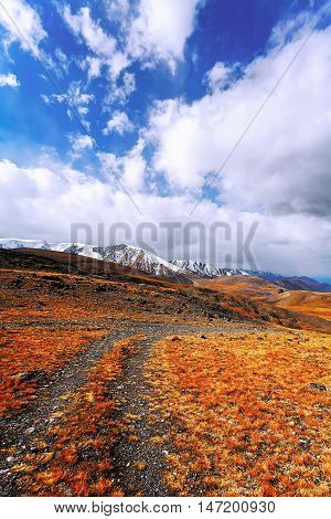 Mountain desert with orange-yellow dry grass on a background of mountains under a sky with white clouds. (Ukok plateau Altai Siberia Russia)