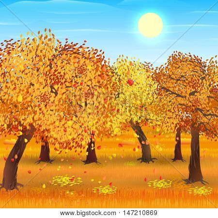 Autumn nature landscape with forest. vector illustration
