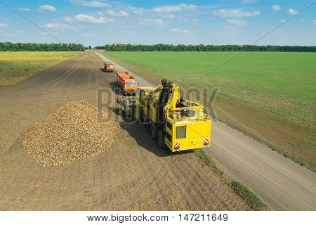 KRASNODAR REGION, RUSSIA - AUG 19, 2015: Yellow harvester, sugar beet heap, trucksp at field, In 2015 in Krasnodar region yields reached record level - 58.4 centners per hectare