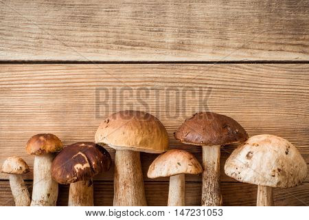 Group of reshly harvested boletus mushrooms on wooden background. Top view.