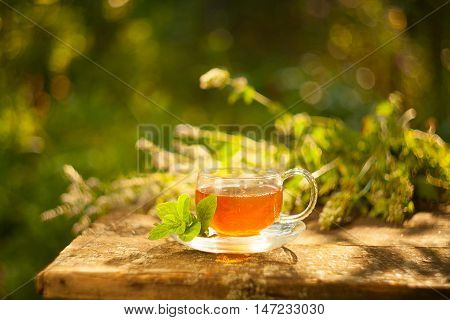 Green Tea In Beautiful Cup