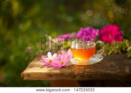 Green Tea In Beautiful Cup