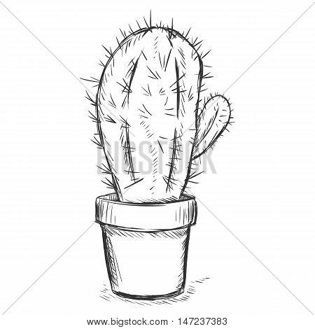 Vector Sketch Illustration - Cactus In A Pot
