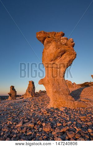 Raukars at the coast of the island Faro near Gotland in the Baltic sea of Sweden