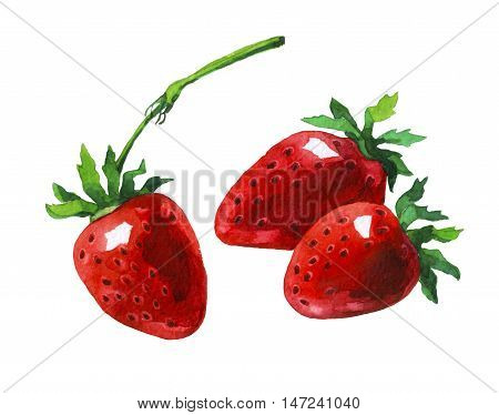 Strawberry. Hand drawn watercolor painting on white background.