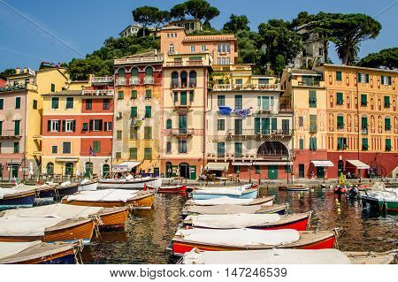 One summer day in the old port of Portofino