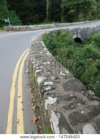 Bridged roadway forest photographed at Wisemans Bridge in Pembrokeshire