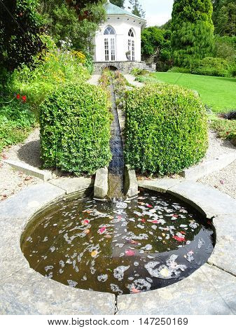 Garden pond and summerhouse with forest backdrop photographed at Colby Woodland Garden near Amroth in Pembrokeshire