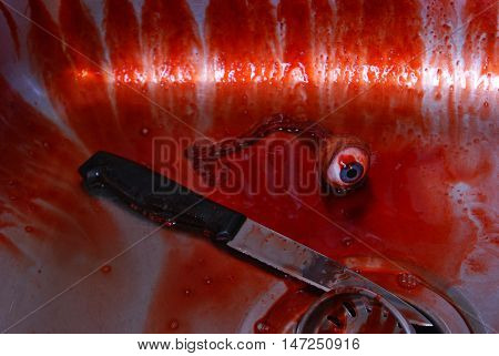 A closeup of a murder scene focused on the kitchen sink area.