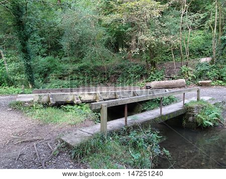 Bridge across river and forest landscape photographed at Colby Woodland Garden near Amroth in Pembrokeshire
