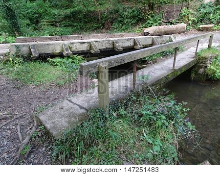 Bridge across river and forest photographed at Colby Woodland Garden near Amroth in Pembrokeshire