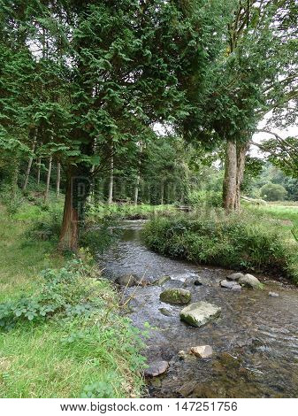 River waterfall and forest landscape photographed at Colby Woodland Garden near Amroth in Pembrokeshire