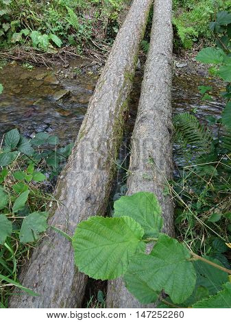 Log bridges across river landscape photographed at Colby Woodland Garden near Amroth in Pembrokeshire