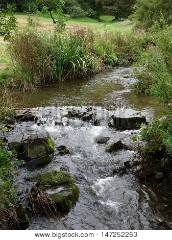 River waterfall and forest backdrop photographed at Colby Woodland Garden near Amroth in Pembrokeshire