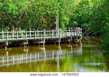 Bike way besides the canal at Bang Kachao Park Thailand