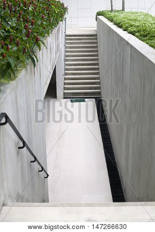 cement stairs with flowers and green leave