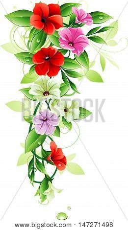 Decorative flowers. Red, white and pink petunia