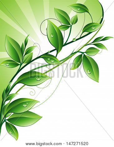 Green background wih sun and green leaves