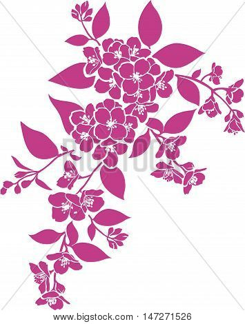 Vector twig of jasmin. Floral branch silhouette. Spring flowers