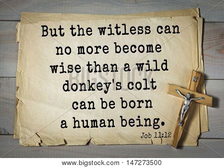 TOP- 150.  Bible Verses about Wisdom.But the witless can no more become wise than a wild donkey's colt can be born a human being. 
