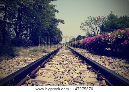 Railway track crossing rural landscape at noon (vintage background)