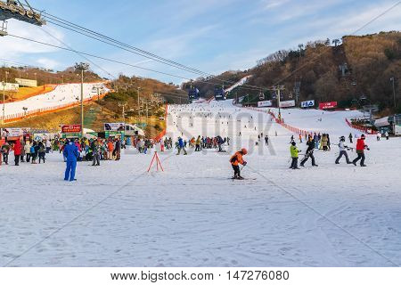 SoulKorea-Jan 42016: Skier both Koreans and foreigners to come skiing at Vivaldi Park Ski Resort on vacation in the winter every year.