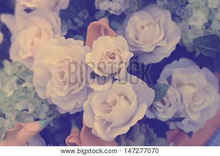 group of white rose flowers background (vintage background)