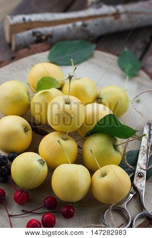 healthy eating concept Fresh yellow apple harvest home
