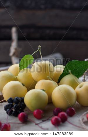 healthy eating concept Fresh yellow apple harvest home