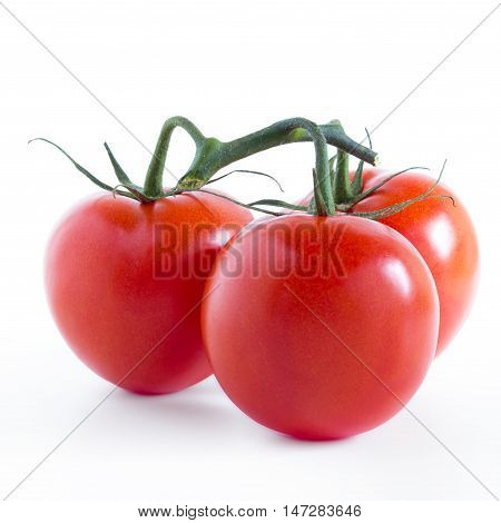 Three organic tomatoes (no OGM) isolated on white background.