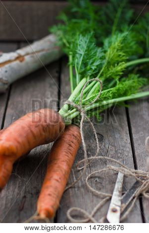 Healthy food concept orange carrots from the garden harvest