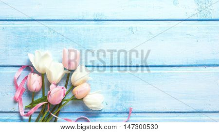 Spring white and pink spring tulips and pink ribbon on blue wooden background. Selective focus. Place for text. Toned image.