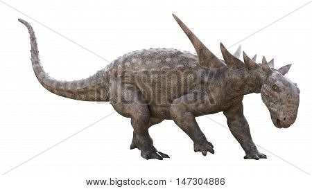 3D rendering of Sauropelta looking for food, isolated on white background.