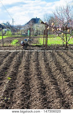 Plowed Garden Seed Beds And Tiller In Village