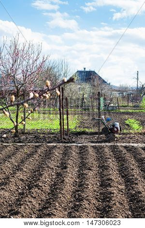 Plough Garden Ground And Tiller In Village